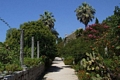  Arboretum Trsteno - protected as a monument of garden architecture 