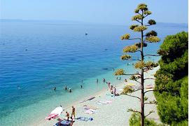  Tucepi - turquoise sea - pebble beach - pine woods 