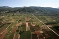  Pharos ager - Stari Grad Plain, protected by UNESCO 