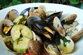  Variety of fresh shells - skoljke 
