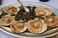  St Jacob shells - Jakobove kapice 