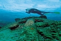  Diving - silent underwater world 