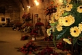  International Flower Fair in the ancient Diocletian Cellars 